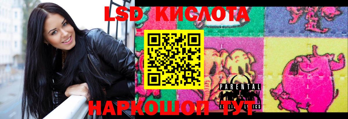 Мурино  ЛСД экстази ecstasy  ОМГ ОМГ зеркало  Вход с VPN  LSD-25 экстази кислота 