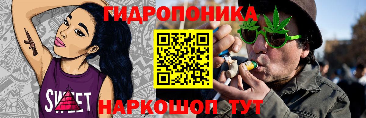 Шишки марихуана Ganja  Вход с VPN  Канабис гибрид  Канабис LSD WEED  Мурино  Шишки марихуана OG Kush 